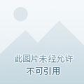 都市至尊天骄全本TXT