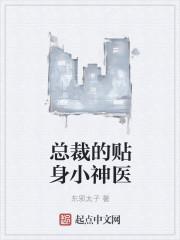 总裁的贴身特助免费阅读
