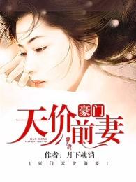 豪门天价前妻书名