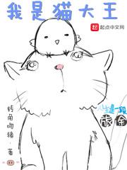我是猫大王百科