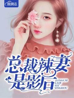 总裁火辣辣宠妻